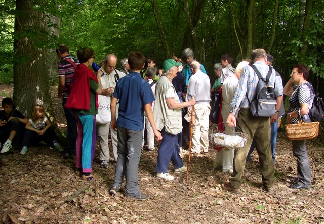 2009 06 Myco porte Baudet 12